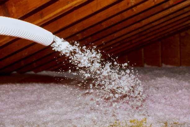Types of Insulation We Offer in Oceanside, CA