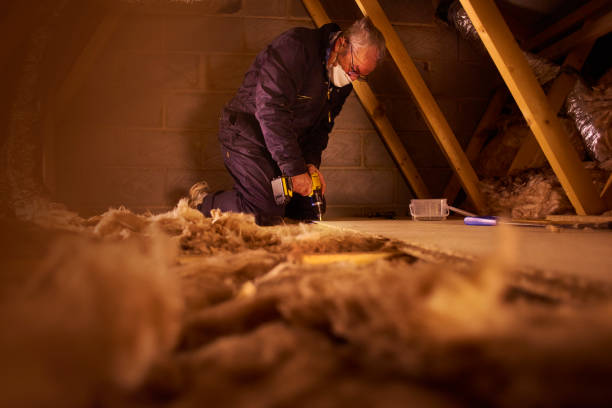 Best Specialized Insulation Services in Oceanside, CA